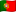pt g